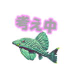 可愛い 熱帯魚（個別スタンプ：38）