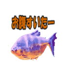 可愛い 熱帯魚（個別スタンプ：39）