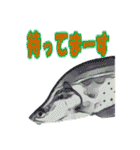 可愛い 熱帯魚（個別スタンプ：40）