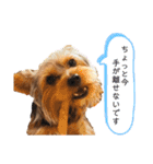 ロイとビジュー（個別スタンプ：32）