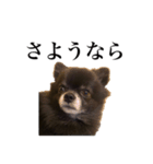 チロルの気持ち（個別スタンプ：7）