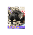 レオンとピピ（個別スタンプ：2）
