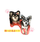 レオンとピピ（個別スタンプ：7）