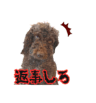 チャチャと一緒（個別スタンプ：7）