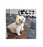 杉山家のベル 2（個別スタンプ：4）