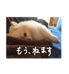 杉山家のベル 2（個別スタンプ：5）
