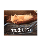 杉山家のベル 2（個別スタンプ：6）