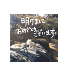 杉山家のベル 2（個別スタンプ：7）