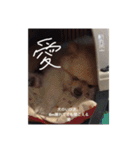 杉山家のベル 2（個別スタンプ：8）
