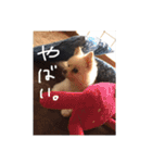 杉山家のベル 2（個別スタンプ：10）