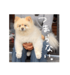 杉山家のベル 2（個別スタンプ：11）