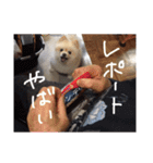 杉山家のベル 2（個別スタンプ：13）