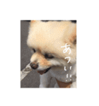 杉山家のベル 2（個別スタンプ：14）