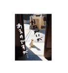 杉山家のベル 2（個別スタンプ：15）