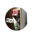 愉快なちゃんず達（個別スタンプ：2）