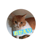 愉快なちゃんず達（個別スタンプ：13）