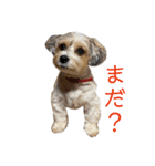 オリーヴスタンプ（個別スタンプ：4）
