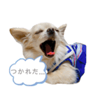 オリーヴスタンプ（個別スタンプ：11）