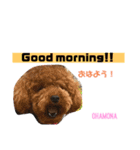 おはモナ English（個別スタンプ：1）