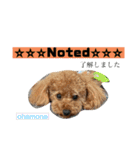 おはモナ English（個別スタンプ：4）