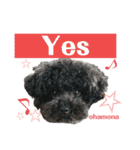 おはモナ English（個別スタンプ：6）