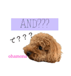 おはモナ English（個別スタンプ：9）