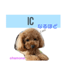 おはモナ English（個別スタンプ：10）
