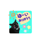 こぶやんとコタちゃんのスタンプだよ（個別スタンプ：3）