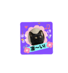 こぶやんとコタちゃんのスタンプだよ（個別スタンプ：4）