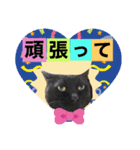 こぶやんとコタちゃんのスタンプだよ（個別スタンプ：11）