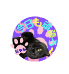 こぶやんとコタちゃんのスタンプだよ（個別スタンプ：13）