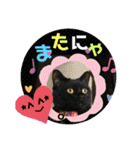 こぶやんとコタちゃんのスタンプだよ（個別スタンプ：14）