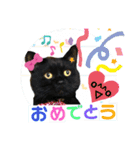 こぶやんとコタちゃんのスタンプだよ（個別スタンプ：15）