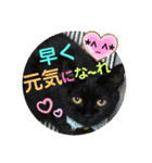 こぶやんとコタちゃんのスタンプだよ（個別スタンプ：24）