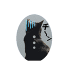 こぶやんとコタちゃんのスタンプだよ（個別スタンプ：29）