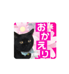 こぶやんとコタちゃんのスタンプだよ（個別スタンプ：32）