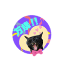 こぶやんとコタちゃんのスタンプだよ（個別スタンプ：34）