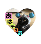 こぶやんとコタちゃんのスタンプだよ（個別スタンプ：35）