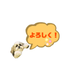 ★シーズーマック★のスタンプ3シンプル編（個別スタンプ：5）