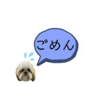 ★シーズーマック★のスタンプ3シンプル編（個別スタンプ：8）