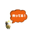★シーズーマック★のスタンプ3シンプル編（個別スタンプ：23）