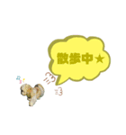 ★シーズーマック★のスタンプ3シンプル編（個別スタンプ：24）