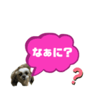 ★シーズーマック★のスタンプ3シンプル編（個別スタンプ：28）