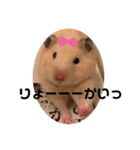◆キンクマ．かりんちゃんのスタンプ◆（個別スタンプ：6）