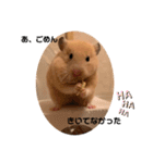◆キンクマ．かりんちゃんのスタンプ◆（個別スタンプ：20）