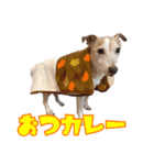 仲良しトリオスタンプ（個別スタンプ：3）