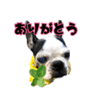 仲良しトリオスタンプ（個別スタンプ：4）
