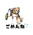 仲良しトリオスタンプ（個別スタンプ：10）