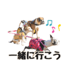 仲良しトリオスタンプ（個別スタンプ：11）