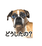 仲良しトリオスタンプ（個別スタンプ：12）